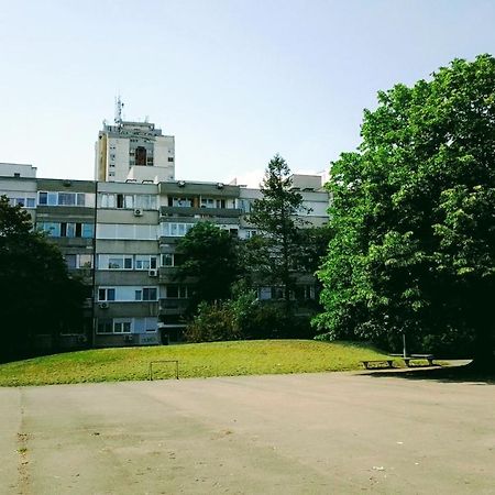 Apartament Men Who Knit Belgrad Zewnętrze zdjęcie